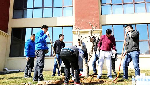 2019年金沙娱场城app下载实业集团植树运动